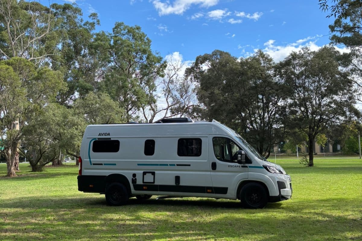 2026 Avida Escape