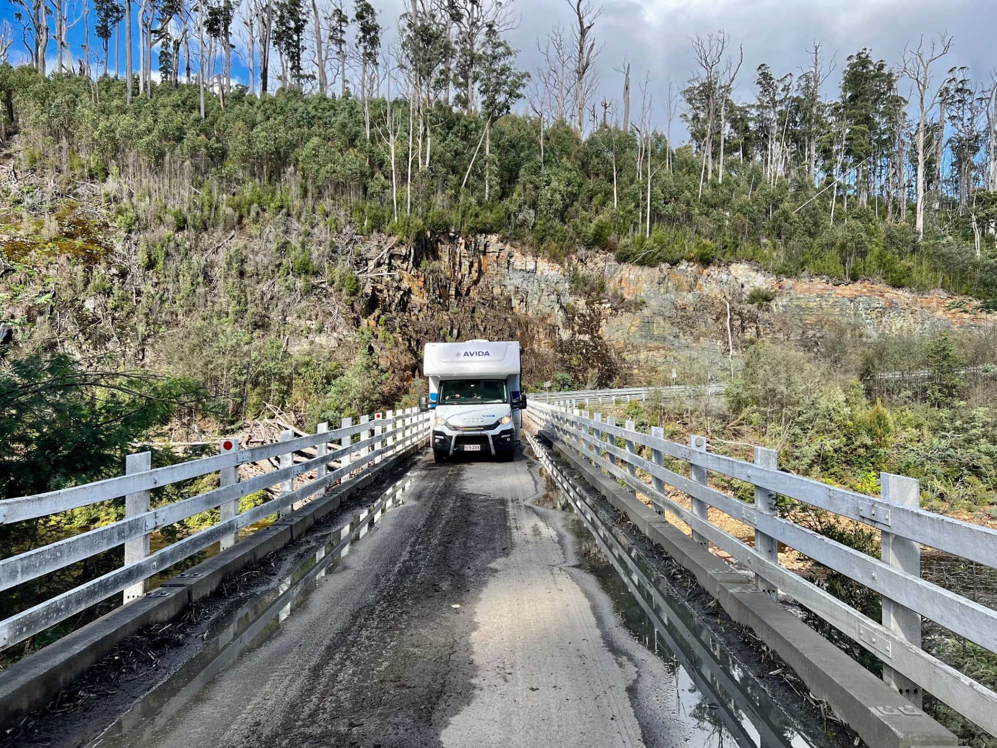 2019 Avida Ceduna — photo 2